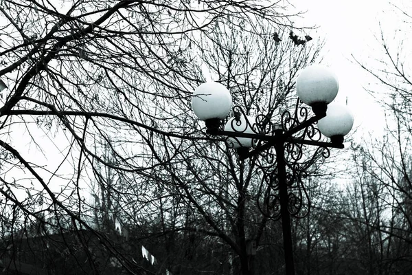 Lantaarn Sneeuw Een Vervagend Licht — Stockfoto