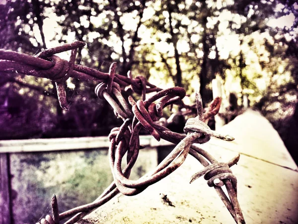 metal barbed wire on a pillar in bright light