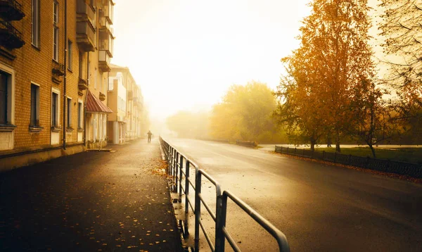 Západ Slunce Parku Blednoucí Záři — Stock fotografie