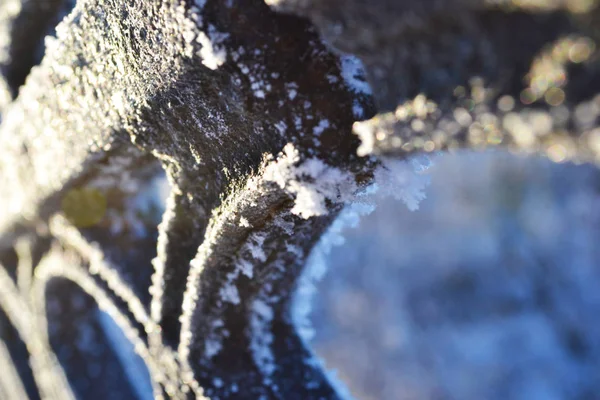 Pieces Frost Snow Fence — Stock Photo, Image