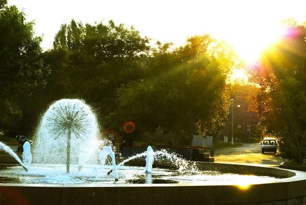 Boom Stad Fading Licht — Stockfoto