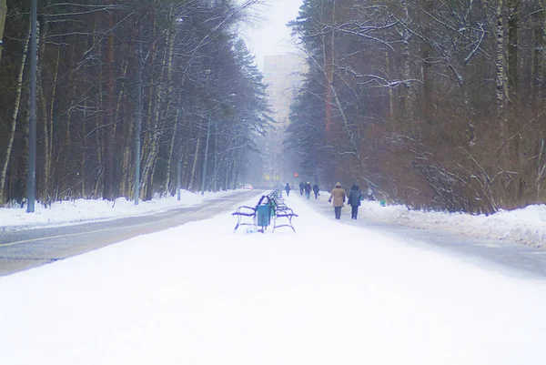 あまり明るくない冬の森の道 — ストック写真
