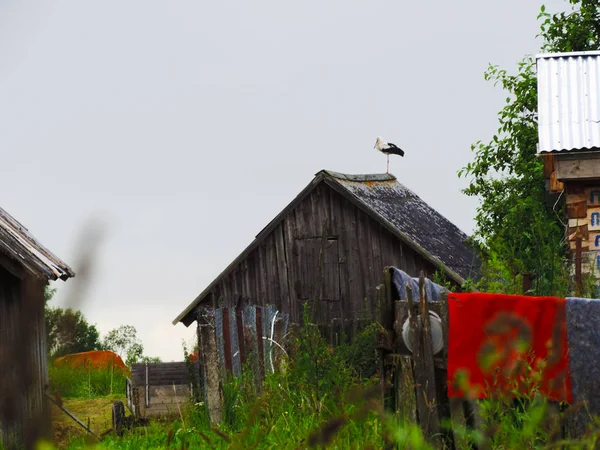 Vieille Maison Dans Village Sous Lumière Tamisée — Photo