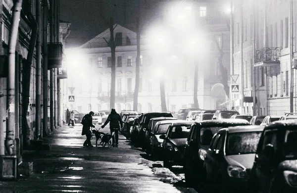 Серая Улица Вечернем Тумане Лицензионные Стоковые Фото