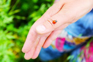 solma ışıkmanü ile eller