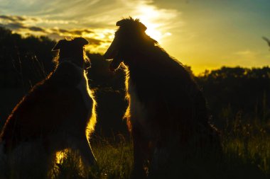 solan ışıkdağlarda gün batımı