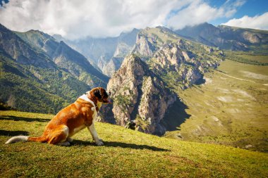 çok parlak olmayan ışıkdağlarda yürüyüş
