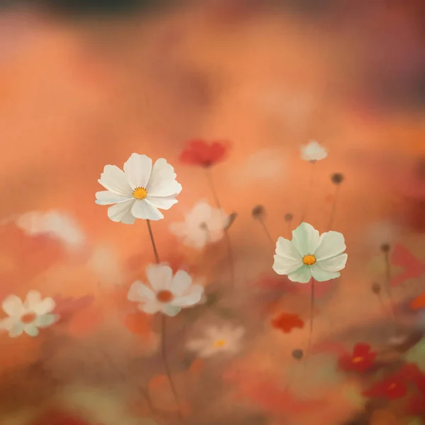 Όμορφο Και Κομψό Φόντο Πολύχρωμα Λουλούδια Θέμα — Φωτογραφία Αρχείου