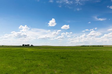Wyoming, ABD bulutlu gökyüzü sonsuz yeşil tarlalarda