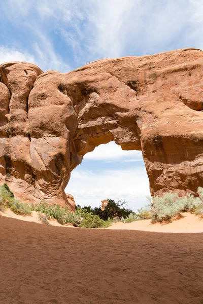 Arenisca Natural Pine Tree Arch Parque Nacional Arches Utah — Foto de Stock