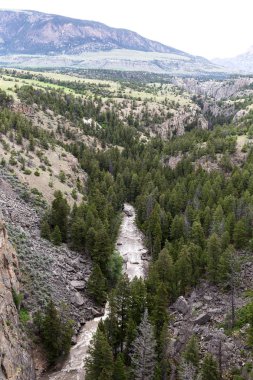 Büyük Kanyon Yellowstone Nehri'nin Yellowstone Milli Parkı, Wyoming, Montana, Idaho, ABD