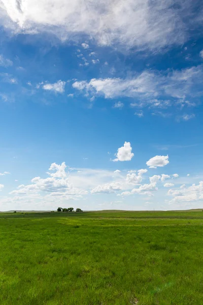 Eindeloze Groene Velden Met Bewolkte Hemel Wyoming Verenigde Staten — Stockfoto