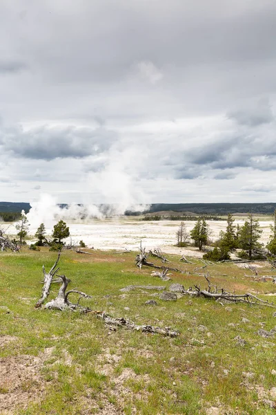 Steamy Geyser Hydrothermal Systems Yellowstone National Park Wyoming Montana Idaho — Stock Photo, Image