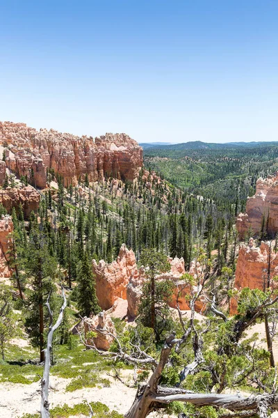 sedimentary rocks in Bryce Canyon National Park, Utah, USA