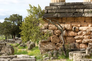 Delphi, Yunanistan, Avrupa'nın harap şehrin antik duvarlar