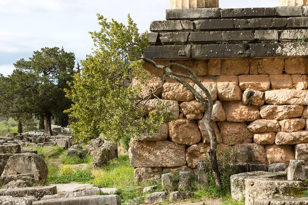 Oude Muren Verwoeste Stad Van Delphi Griekenland Europa — Stockfoto