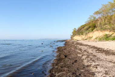 ıssız Baltık Denizi beach kayalıklarla ve deniz yosunu, Gollwitz, Poel, Almanya
