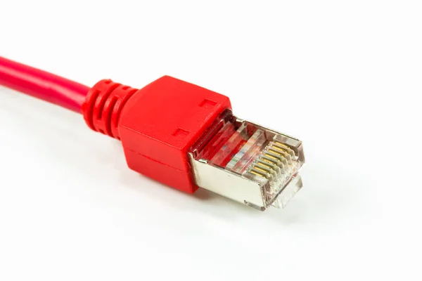 Röd Patch Kabel Med Rj45 Kontakt Isolerad Vit Bakgrund — Stockfoto