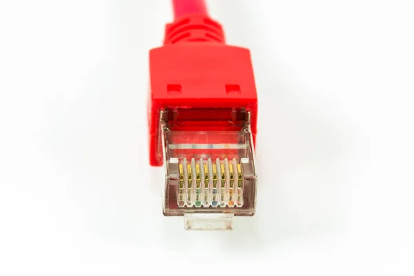 Câble Patch Rouge Avec Connecteur Rj45 Isolé Sur Fond Blanc — Photo