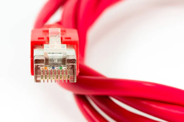 Câble Patch Rouge Avec Connecteur Rj45 Isolé Sur Fond Blanc — Photo