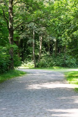 Hiking trail Dresden büyük Bahçe