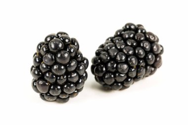 Beyaz arka planda izole edilmiş taze böğürtlen