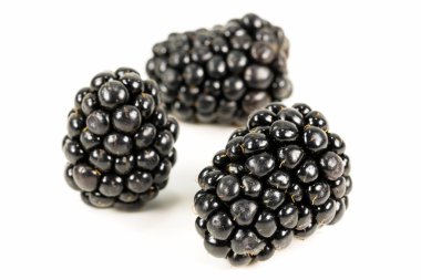 Beyaz arka planda izole edilmiş taze böğürtlen