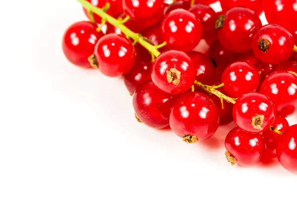 Grosella Roja Fresca Aislada Sobre Fondo Blanco — Foto de Stock