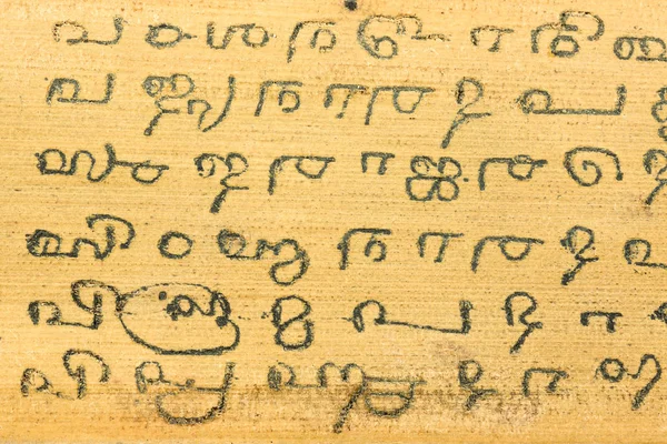 Detail Preserved Palm Leaf Borassus Flabellifer Manuscripts Showing Writings Ayurvedic — Stock Photo, Image