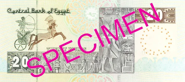 Egyptiska Pund Sedel Fullformat Omvänd — Stockfoto