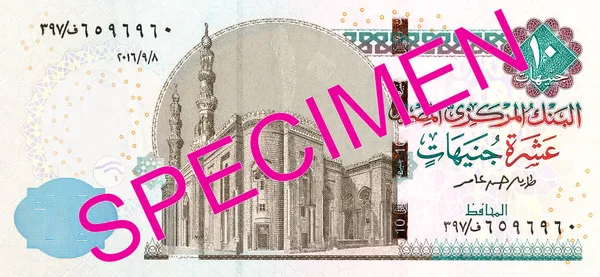 Egyptian Pound Bank Note Full Frame Obverse — Stock Photo, Image