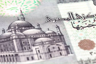 20 Mısır Lirası banknot detay