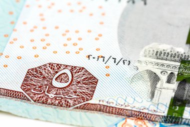 5 Mısır Lirası banknot detay