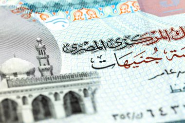 5 Mısır Lirası banknot detay