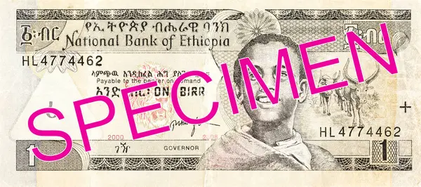 Etiópiai Birr Megjegyzés Előlapon — Stock Fotó