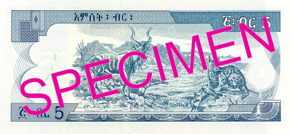 Ethiopian Birr Note Reverse — Stock Photo, Image