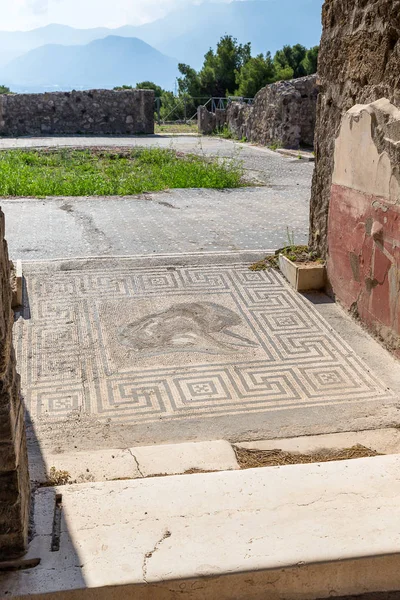 Oude Vloermozaïek Pompeii Italië Europa — Stockfoto