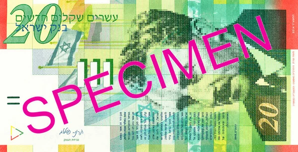 20 israeli new shekel bank note obverse