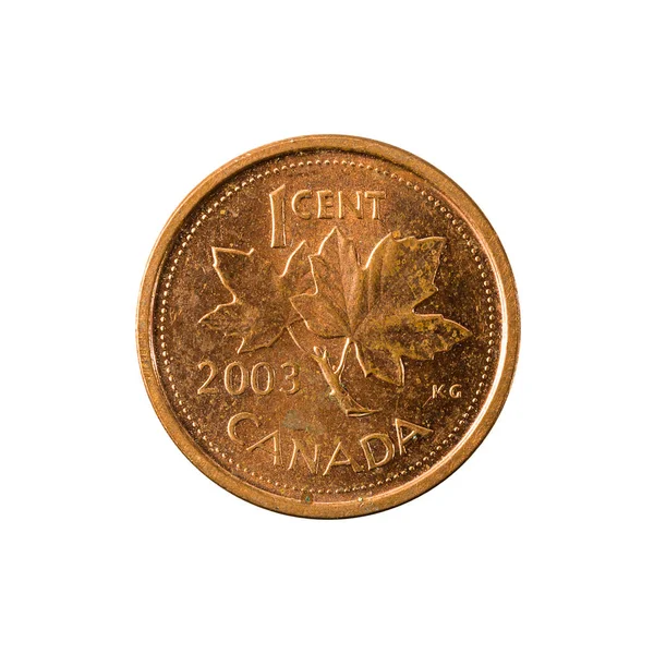 Dólar Canadiano 2003 Anverso Isolado Sobre Fundo Branco — Fotografia de Stock