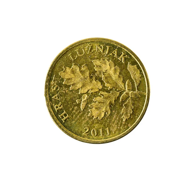 Хорватська Липа Монета 2011 Зворотному Напрямку Ізольовані Білому Тлі — стокове фото