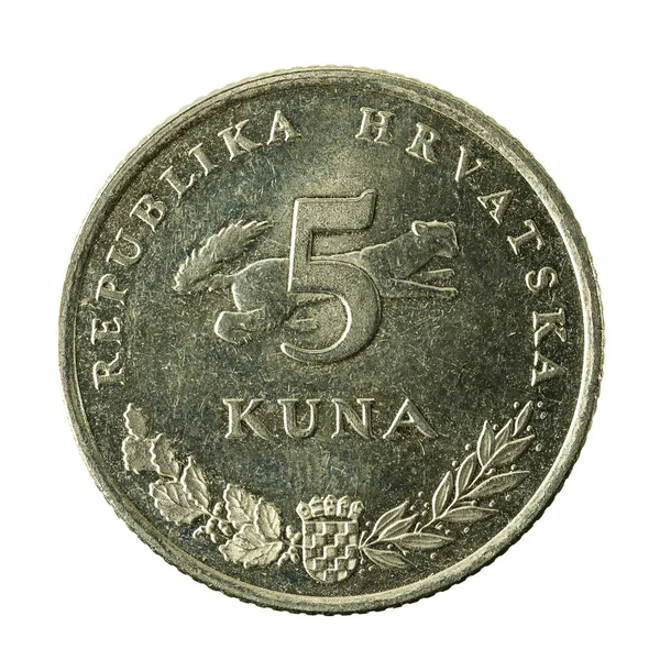 Moneda Kuna Croata 2009 Anverso Aislado Sobre Fondo Blanco — Foto de Stock