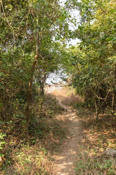 path through the jungle at Agonda Beach, Goa, India