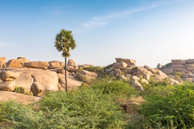 kayalık arazi ile palm, Hampi, Karnataka, Hindistan