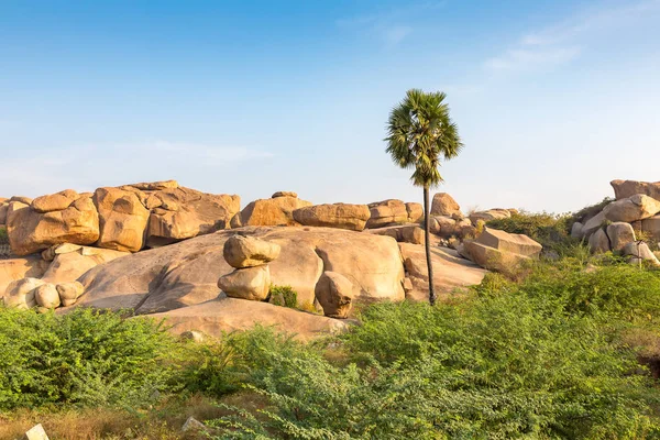 Terrain Rocheux Avec Palmier Hampi Karnataka Inde — Photo