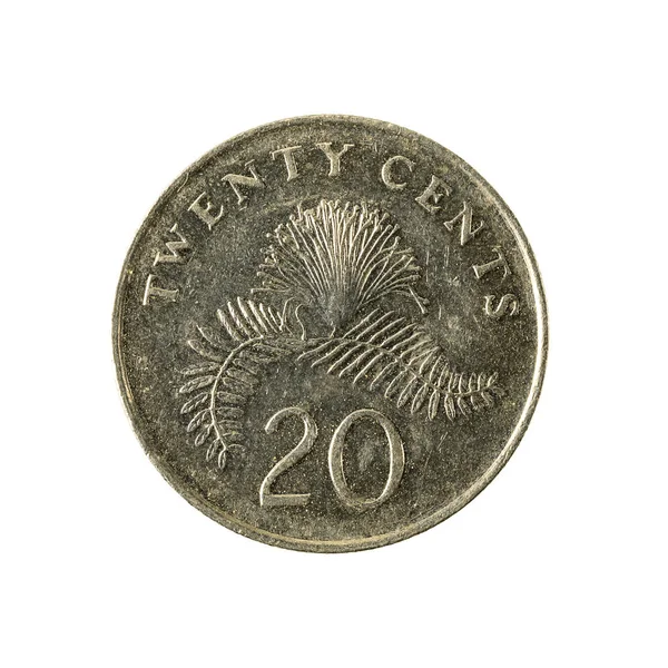 Singapur Cent Moneta Awers 2006 Białym Tle — Zdjęcie stockowe