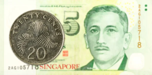 Moneda Céntimos Singapur Contra Billetes Dólares Singapur —  Fotos de Stock