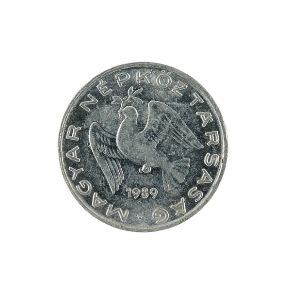 Diez Monedas Relleno Húngaras 1989 Aisladas Sobre Fondo Blanco — Foto de Stock