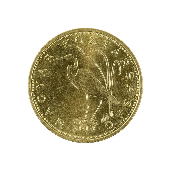 Пять Венгерских Форинтовых Монет 2010 Белом Фоне — стоковое фото