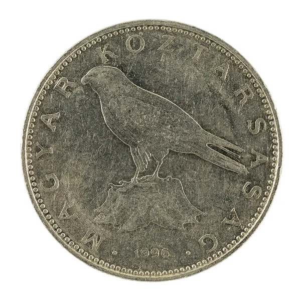 Monet Forint Węgierski 1996 Białym Tle Białym Tle — Zdjęcie stockowe