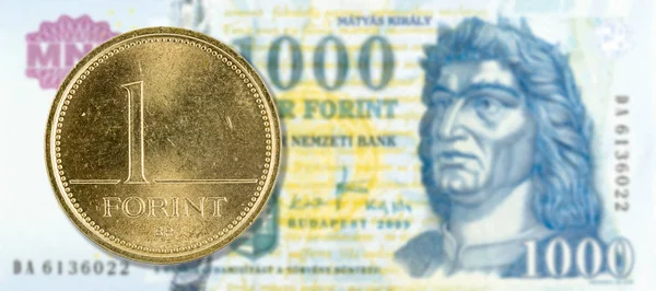 Форинтовая Монета Против 1000 Венгерских Форинтовых Банкнот — стоковое фото